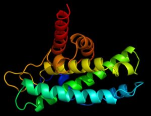 Para ilmuwan mengembangkan teknologi terobosan untuk mendeteksi modifikasi protein