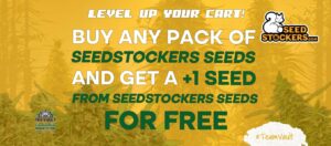 Seedstockers Seeds – Omaggi e promozione sull'acquisto