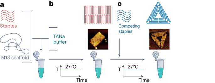 Shaken, not heated: DNA self-assembly at room temperature - Nature Nanotechnology
