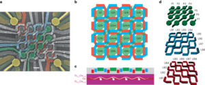 Controllo condiviso di un array di barre trasversali di 16 semiconduttori a punti quantici - Nature Nanotechnology