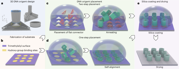 Site-directed placement of three-dimensional DNA origami - Nature Nanotechnology