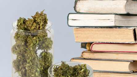 Ten Fiction Books to Read When Stoned, cannabis
