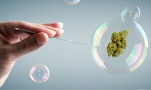 The Bubble Continues to Burst in the Cannabis Industry as Pick and Shovel Plays Flop on Earnings Reports
