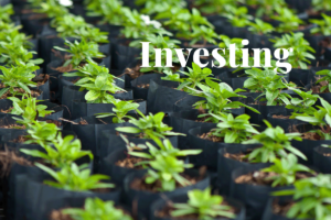 Revoluția investițiilor verzi de peste 100 de miliarde de euro