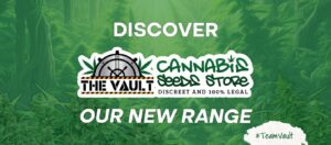 The Vault Newest Breeders: Rediscovering Cannabis Seeds