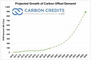 Ameriški trio bo financiral 500 milijonov dolarjev ogljikovih projektov, ki temeljijo na naravi, da bi ustvarili 100 milijonov ogljikovih kreditov