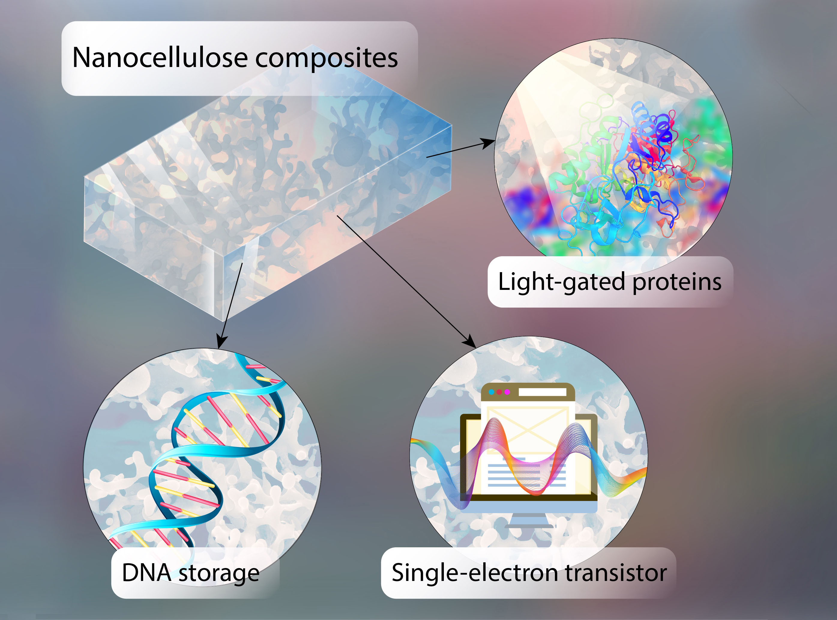 Informasjon kan lagres i form av DNA på brikker laget av halvledende nanocellulose