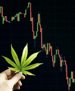 Co zamknięcie funduszu inwestycyjnego AdvisorShares Cannabis ETF mówi o przyszłości przemysłu marihuany?