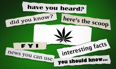 Cannabis: Fact vs Myth