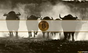 Bitcoin의 Bull Run은 언제 시작됩니까? 애널리스트 칩 인
