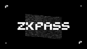 zkPass نے ڈیٹا سیکیورٹی لینڈ اسکیپ کی ازسرنو وضاحت کے لیے $2.5M اکٹھا کیا۔