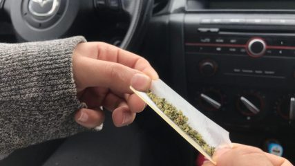 Ten Things Wrong with the Latest Cannabis-Traffic Study