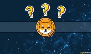 3 Important Shiba Inu and Shibarium Updates and What's Next? Lead Developer Clarifies
