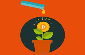 5 Ideas On How To Reinvest Your Crypto Profits