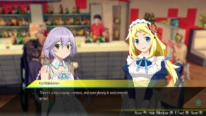 AKIBA REIS: Undead and Undressed Switch Review