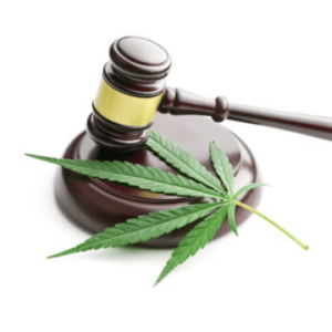 B.C. Court Dismisses Cannabis Retail Lawsuit