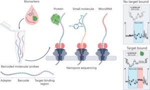 Barcoding biomarkörer med nanopore sekvensering - Nature Nanotechnology