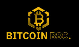 Bitcoin BSC Project Presale Realizes 50% Of Soft Cap After Raising Nearly $2M in 10 Days