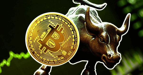 Bitcoin-pris sætter fokus på $30,000, når indehaverens metriske hits ny all-time high | Bitcoinist.com - CryptoInfoNet