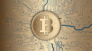 El papel de Bitcoin en el ecosistema financiero moderno: más allá del oro digital Bitcoin en el ecosistema financiero actual: The Crypto Basic