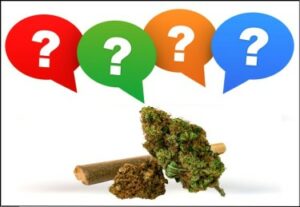 Kann man zwei verschiedene Cannabissorten miteinander mischen und rauchen? Was passiert mit deinem High?
