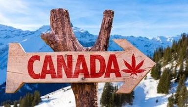 Kanadas Rezessions-Cannabis