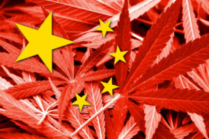 大麻ブランドと中国: 新たな知財の課題