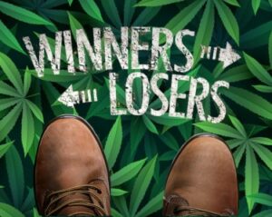 A cannabis pode ser transferida para uma droga da tabela 3 - Quem são os grandes vencedores, chorões e perdedores?