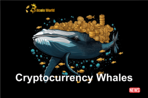 Baleias criptomoedas fazem movimentos rápidos em meio à queda do Bitcoin