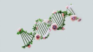 DeepMind AI traque les mutations de l'ADN à l'origine des maladies génétiques