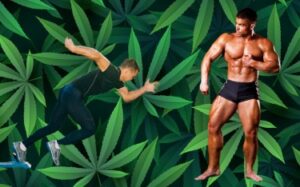 Do You Like It Fast or Strong? - The Difference Between Smoking Cannabis and Eating a Marijuana Edible