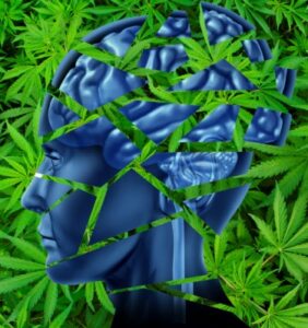 ¿Fumar cannabis mata las células cerebrales, sí o no? ¡La ciencia habla!
