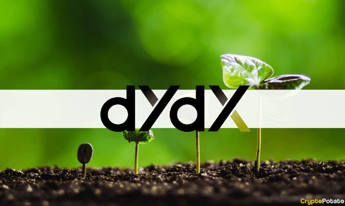 קרן dYdX מפרסמת דוח חצי שנתי, חושפת את צמיחת המערכת האקולוגית בשנת 2023