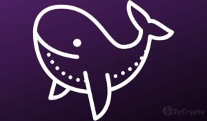 Ethereum Whales ostaa yli 200,000 24 ETH:ta XNUMX tunnin sisällä houkuttelevien hintojen vallitessa