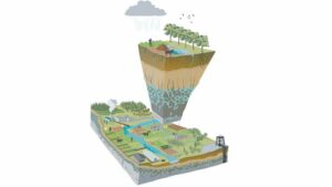 中英研究表明，农民和当地知识对于地球生命支持系统的管理至关重要环境技术公司