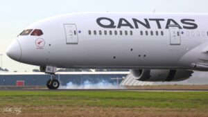 Оштрафувати Qantas на 250 мільйонів доларів за «примарні рейси», повідомляє ACCC