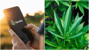 Primeiros anúncios de cannabis em breve no Spotify
