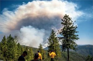 أربعة أشياء يجب معرفتها عن دخان حرائق الغابات في كاليفورنيا وتغير المناخ