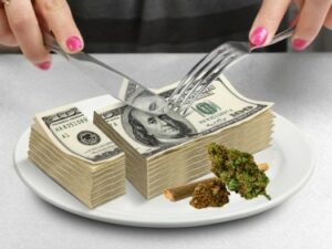 Quanto spendi in erba al mese? - Costo/reddito per la Cannabis