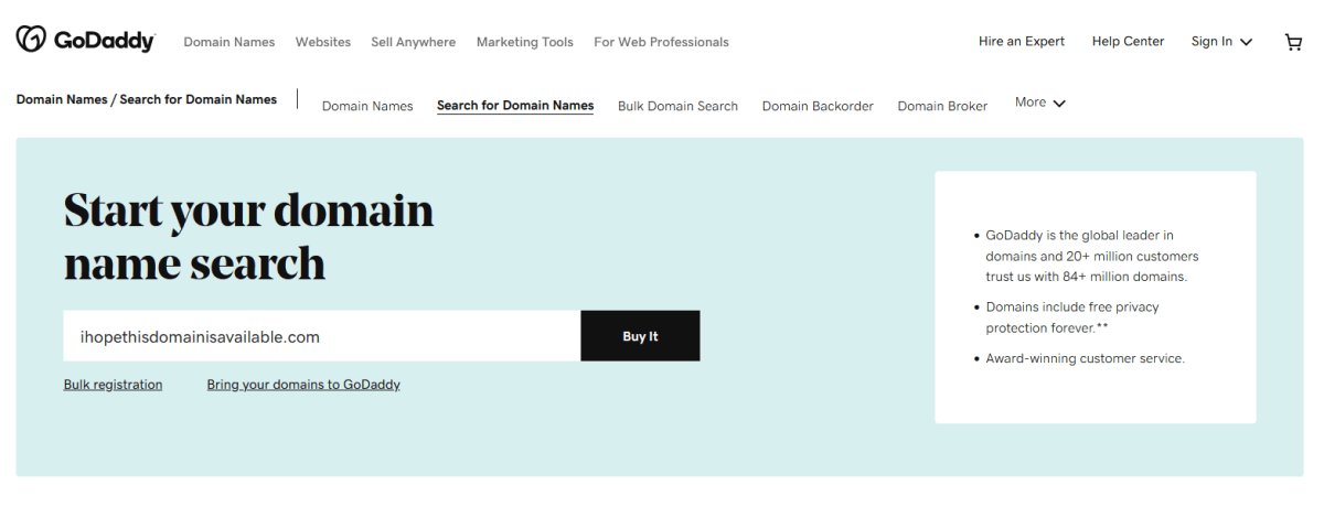 GoDaddy domain registration lookup (2022)