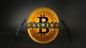 Badania Kaiko: przyszłoroczny halving Bitcoina nie będzie wielkim wydarzeniem | Wiadomości o Bitcoinie na żywo