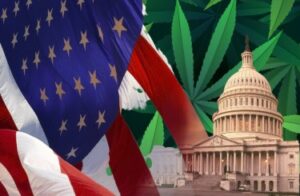 Deixar a legalização da cannabis ser feita estado por estado, sem legalização federal? - Reviravolta republicana para a indústria de ervas daninhas