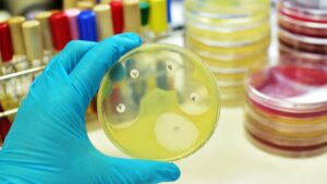 Microplate Dx arrecada £ 2.5 milhões para desenvolver teste rápido de antibióticos