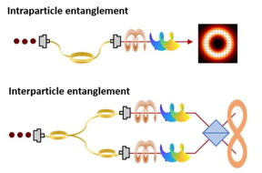 Nanotechnology Now - 新闻稿：释放量子潜力：利用 QD 和 OAM 来利用高维量子态：基于 OAM 的几乎确定性纠缠态的生成为量子进步的光子技术之间架起了一座桥梁