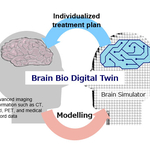 NTT og NCNP skal udvikle hjernens bio-digitale tvillingeteknologi