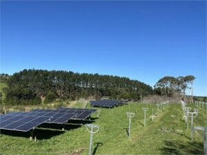 Az NZ zöld befektetési finanszírozás 15 millió dolláros hitelkeretet biztosít a Lightyears Solar jövőbeli farmjainak finanszírozására