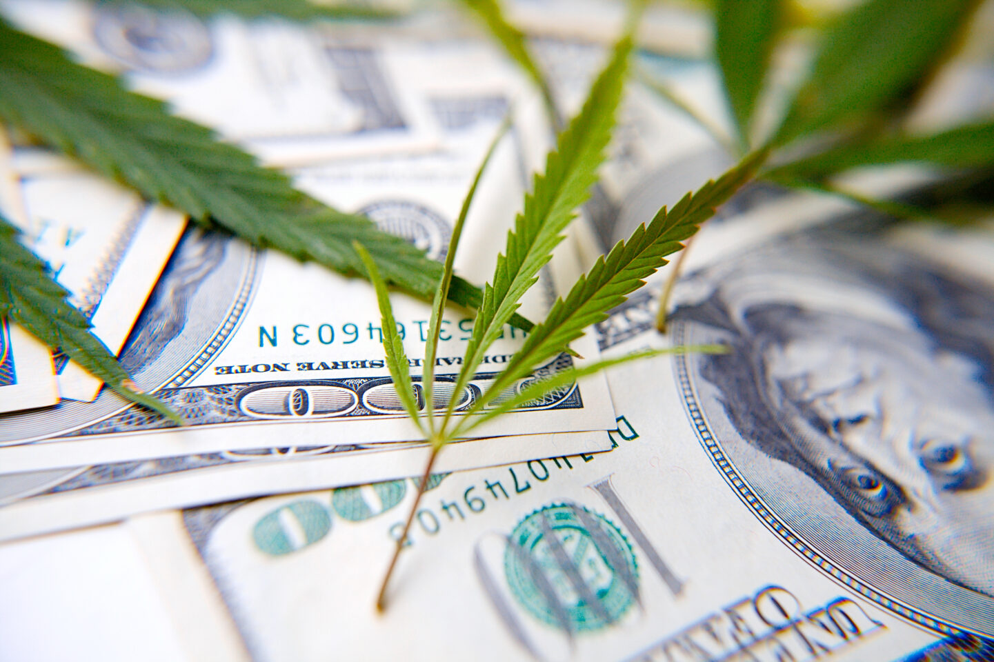 Laut FinCEN-Berichten beantragen über achthundert Banken die Zulassung von Cannabisgeschäften