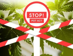 ¿Programa 1 al Programa 3 y volver al Programa 1? - La 'Ley Stop Pot' busca poner fin de manera efectiva a la legalización del cannabis en Estados Unidos