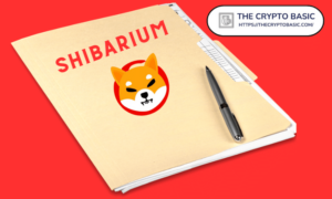 Shiba Inu -tiimi korostaa 12 tekijää, jotka on otettava huomioon ennen Shibarium-projekteihin sijoittamista