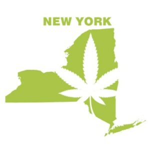 State of the New York Cannabis Market